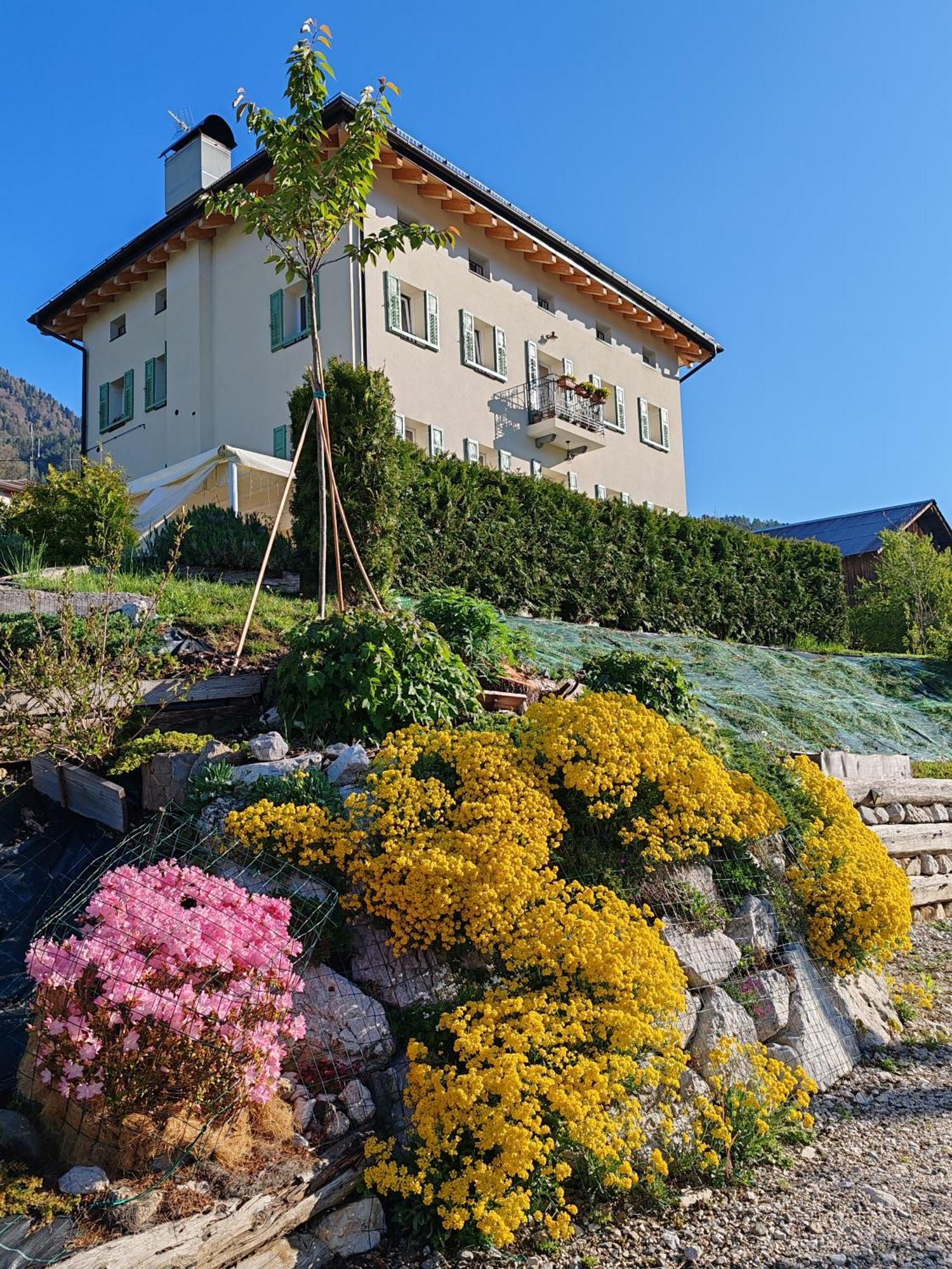B&B Sognoincadore Domegge di Cadore Exterior photo